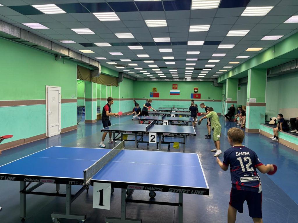  28 августа 2025 года в клубе по месту жительства «Союз» состоялся яркий спортивный праздник – открытый городской турнир по настольному теннису, приуроченный ко Дню шахтера!