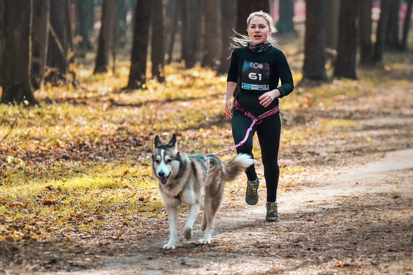 Клубы по месту жительства Движение ГТО. Что такое каникросс?