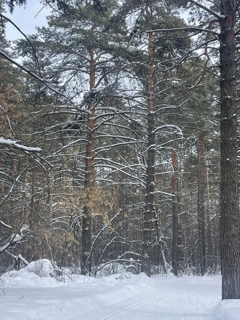 Ученики кадетских классов Росгвардии школы №74 Кировского района провели незабываемые выходные на свежем воздухе — и всё благодаря инструктору по спорту клуба по месту жительства «Сибиряк» Анне Игоревне Максутовой!